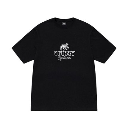 Stussy Sportswear Black T Shirt